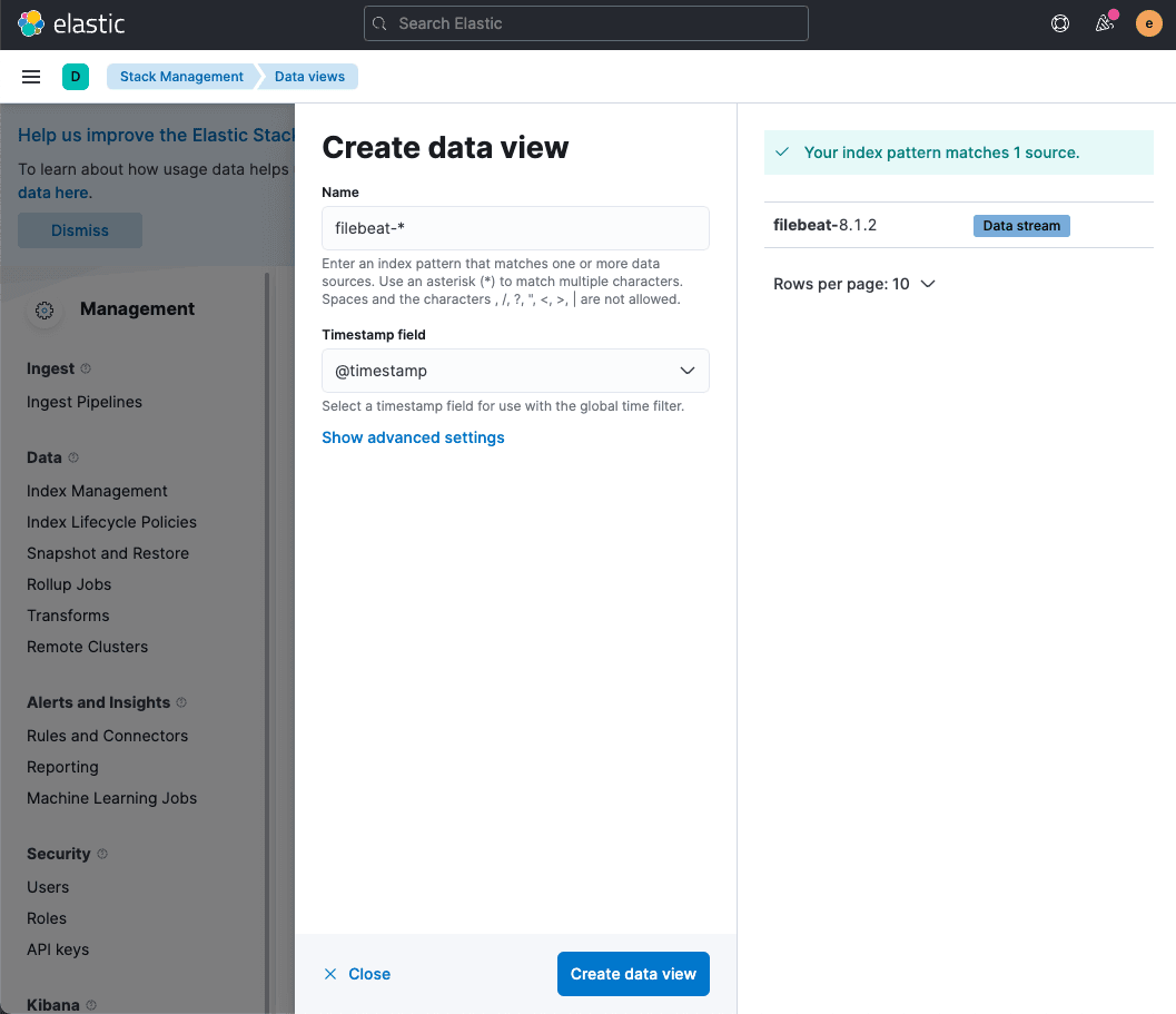 Kibana Data View